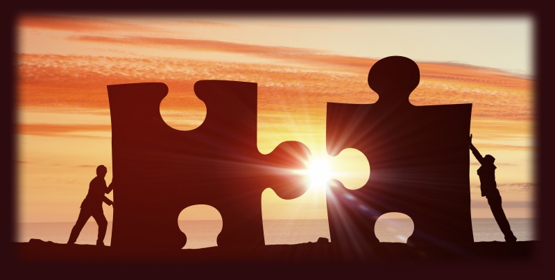Wittfeld Consulting